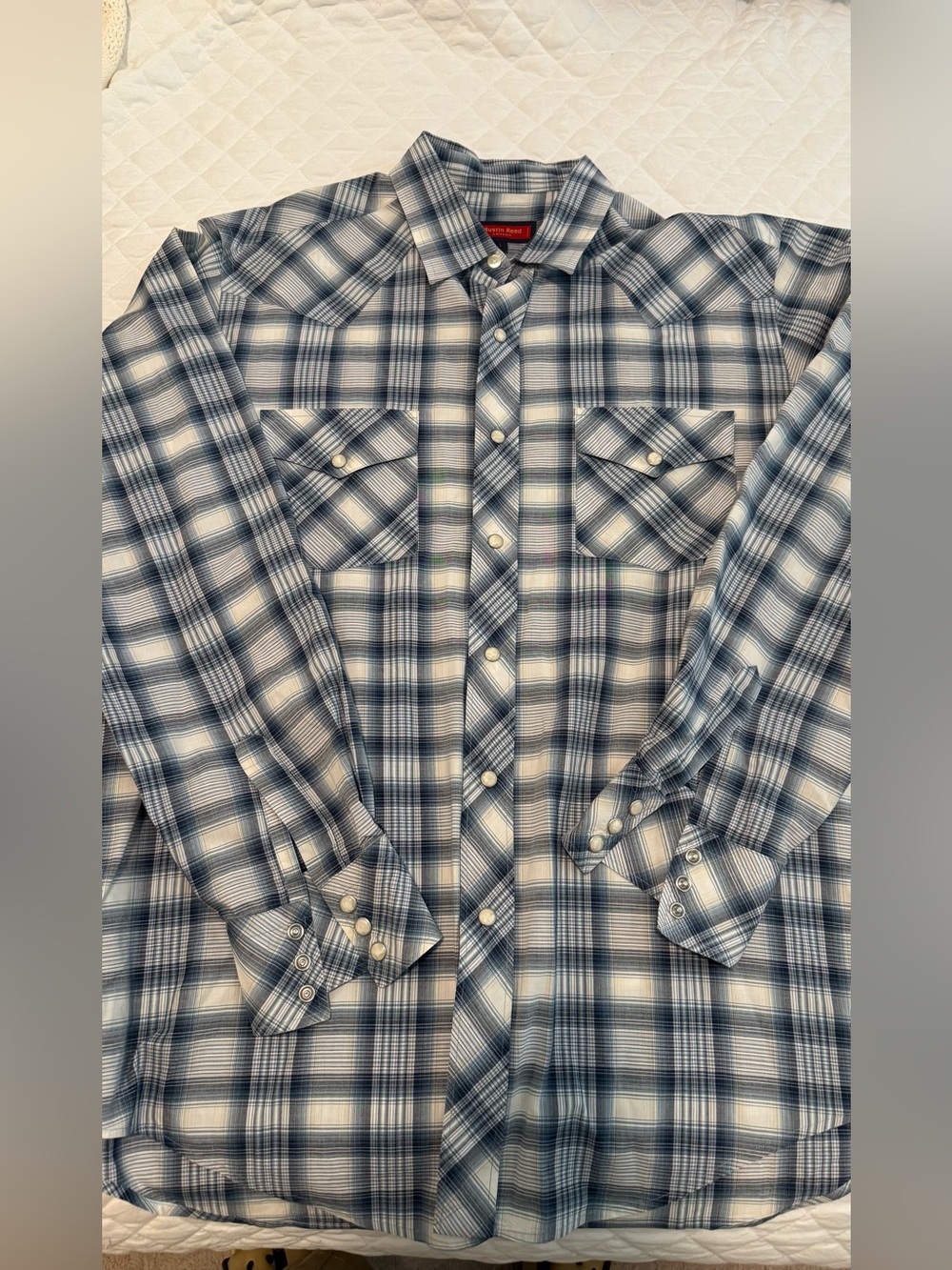 Austin Reed Blue and White Plaid Snaps Button-Down Shirt size L